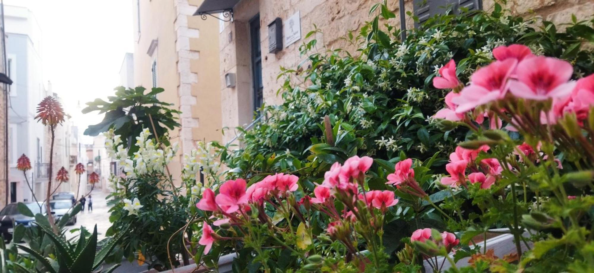 Dimora Delle Badesse Acomodação com café da manhã Conversano Exterior foto